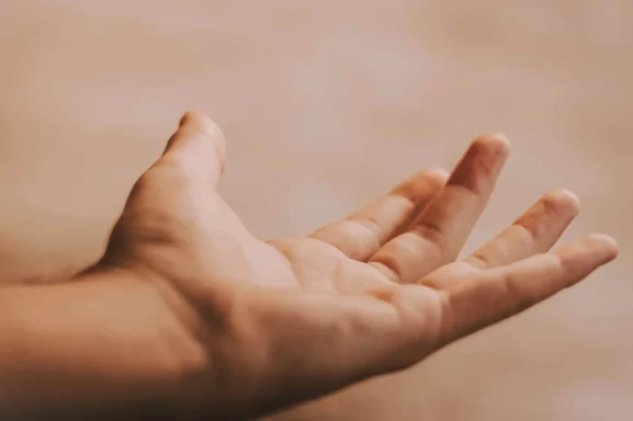 Hirudoterapia