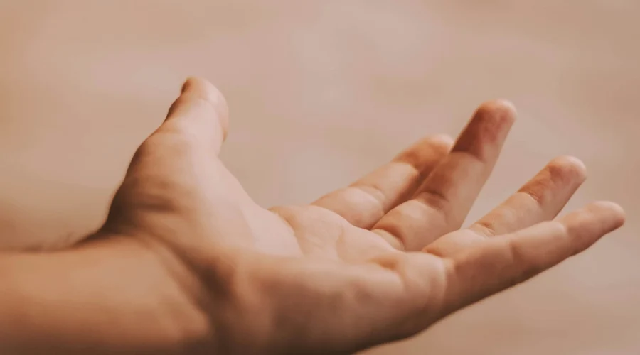 Hirudoterapia – naturalna metoda leczenia z udziałem pijawek